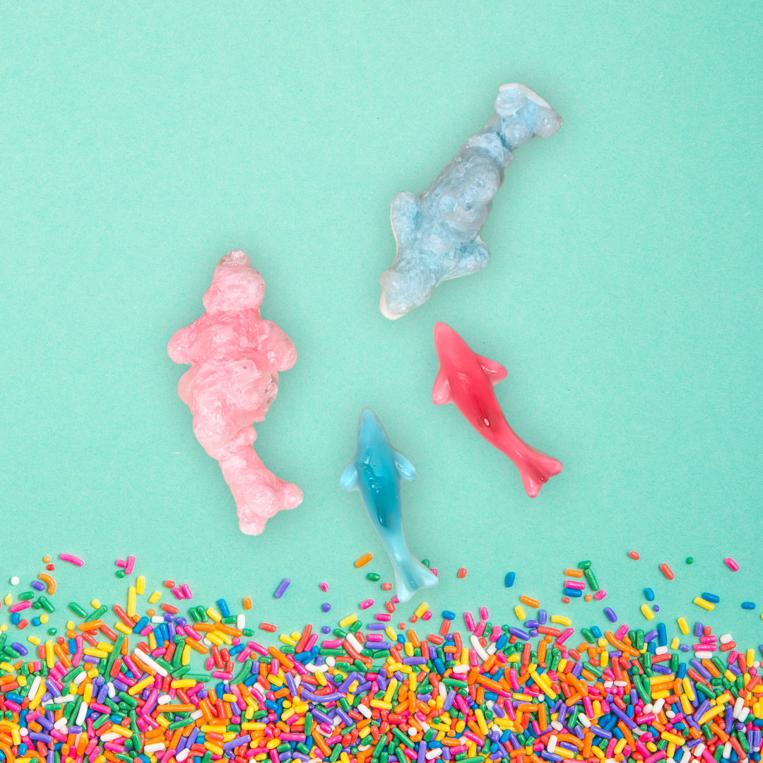 Gefriergetrocknete Haifische